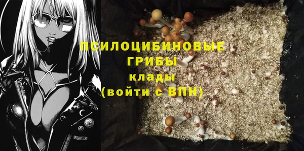 бошки Балахна