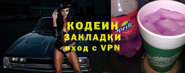прущие грибы Арсеньев