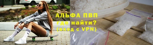 прущие грибы Арсеньев